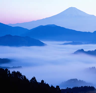 Napean 藍色山脈帶狀皰疹後遺神經痛